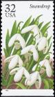 Colnect-5106-487-Winter-Flowers-Snowdrop.jpg