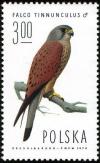 Colnect-1989-663-Common-Kestrel-Falco-tinnunculus.jpg