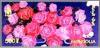 Colnect-2360-217-Roses-from-Gobi-Dream.jpg