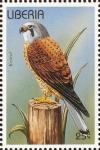 Colnect-3811-659-Common-Kestrel-Falco-tinnunculus.jpg