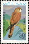 Colnect-5174-513-Common-Kestrel-Falco-tinnunculus.jpg