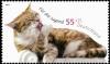 Colnect-5202-476-Domestic-Cat-Preening.jpg