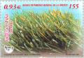 Colnect-182-710-Grasses---Ses-Salines-Nature-Reserve-.jpg