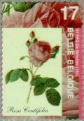 Colnect-187-248-Congress-roses-societies.jpg