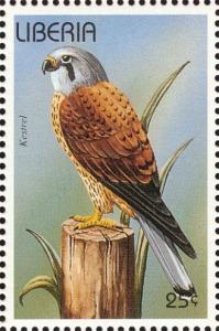 Colnect-3811-659-Common-Kestrel-Falco-tinnunculus.jpg