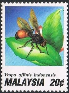 Colnect-2262-908-Hornet-Vespa-affinis-indonensis.jpg