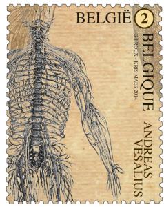 Colnect-2085-981-Andreas-Vesalius---Nervous-System.jpg