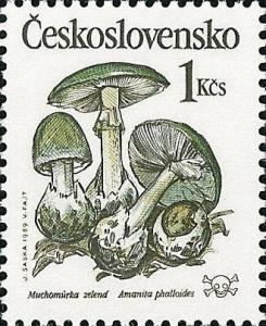 Colnect-364-432-Amanita-phalloides---Muchom%C5%AFrka-zelen-aacute-.jpg