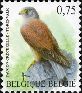 Colnect-4431-102-Common-Kestrel-Falco-tinnunculus.jpg