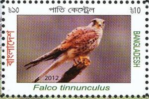 Colnect-1674-509-Common-Kestrel-Falco-tinnunculus.jpg