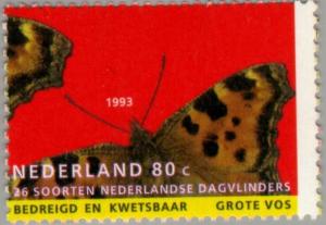 Colnect-178-647-Large-Tortoiseshell-Nymphalis-polychloros.jpg