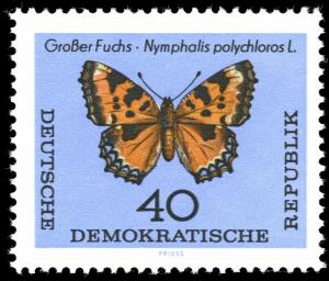 Colnect-1974-364-Large-Tortoisesshell-Nymphalis-polychloros.jpg