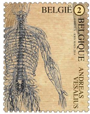 Colnect-2085-981-Andreas-Vesalius---Nervous-System.jpg