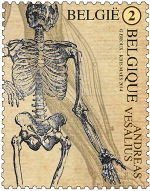 Colnect-2085-984-Andreas-Vesalius---Skeletal-System.jpg