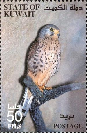 Colnect-2584-522-Common-Kestrel-Falco-tinnunculus.jpg