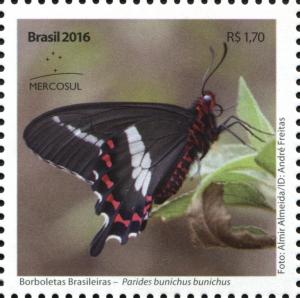 Colnect-4167-976-Parides-bunichus-bunichus.jpg