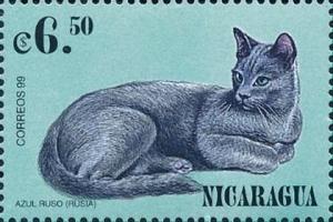 Colnect-4626-431-Felis-domesticus---Azul-Ruso-Rusia.jpg