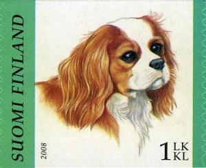 Colnect-591-447-Cavalier-King-Charles-Spaniel-Canis-lupus-familiaris.jpg