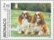 Colnect-149-681-Cavalier-King-Charles-Spaniel-Canis-lupus-familiaris.jpg