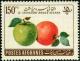 Colnect-1997-336-Apples-Malus-sylvestris.jpg