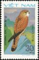 Colnect-5174-513-Common-Kestrel-Falco-tinnunculus.jpg