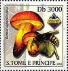 Colnect-5275-168-Boletus-appendiculatus.jpg