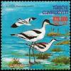 Colnect-5344-328-Pied-Avocet-Recurvirostra-avosetta.jpg