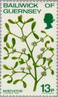 Colnect-125-711-Mistletoe----Viscum-album.jpg