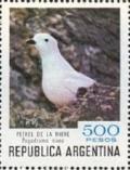 Colnect-1598-509-Snow-Petrel-Pagodroma-nivea.jpg