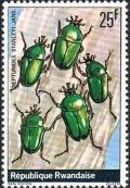 Colnect-2396-417-Scarab-Beetle-Neptunides-stanleyi.jpg