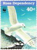 Colnect-3274-142-Snow-Petrel-Pagodroma-nivea.jpg