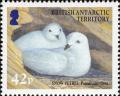 Colnect-4568-892-Snow-Petrel-Pagodroma-nivea.jpg