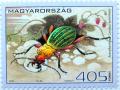 Colnect-5125-497-Ground-Beetle-Carabus-auronitensis.jpg