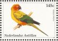 Colnect-965-455-Sun-Parakeet%C2%A0Aratinga-solstitialis.jpg