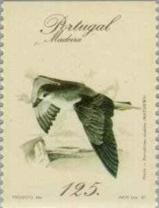 Colnect-186-329-Zino--s-Petrel-Pterodroma-madeira.jpg