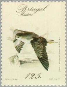 Colnect-186-324-Zino--s-Petrel-Pterodroma-madeira.jpg