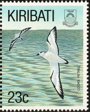 Colnect-1301-214-Cooks-Petrel-Pterodroma-cookii.jpg