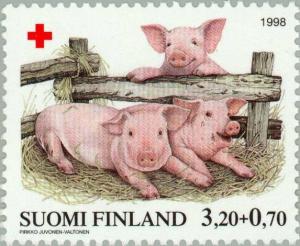 Colnect-160-457-Three-Piglets-Sus-scrofa-domestica.jpg