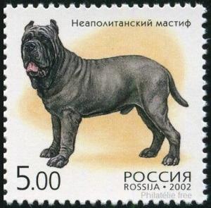 Colnect-2024-495-Mastino-Napoletano-Canis-lupus-familiaris.jpg