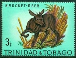 Colnect-2680-915-Red-Brocket-Deer-Mazama-americana.jpg