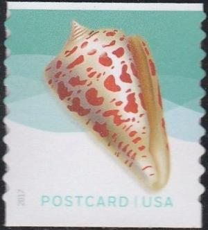 Colnect-3880-171-Alphabet-Cone-Conus-spurius.jpg