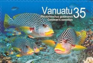 Colnect-609-952-Yellow-banded-Sweetlips-Plectorhynchus-goldmanni-.jpg