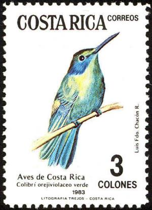 Colnect-758-982-Green-Violetear-Colibri-thalassinus.jpg