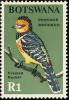 Colnect-597-717-Crested-Barbet-Trachyphonus-vaillantii-.jpg