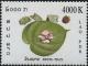 Colnect-2688-894-Betel-nut-and-leaf.jpg