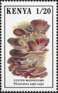 Colnect-2025-588-Pleurotus-sajor-caju.jpg