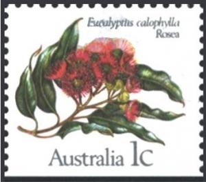 Colnect-1343-258-Marri-Eucalyptus-calophylla.jpg