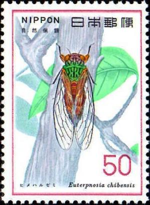 Colnect-608-814-Cicada-Euterpnosia-chibensis-.jpg