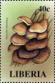 Colnect-3132-147-Pleurotus-ostreatus.jpg