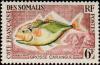 Colnect-805-867-Giant-Trevally-Caranx-ignobilis.jpg